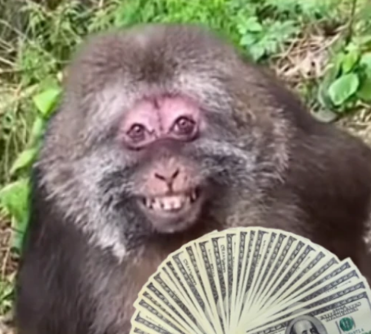 🐗Ruanas☀️ tweet media