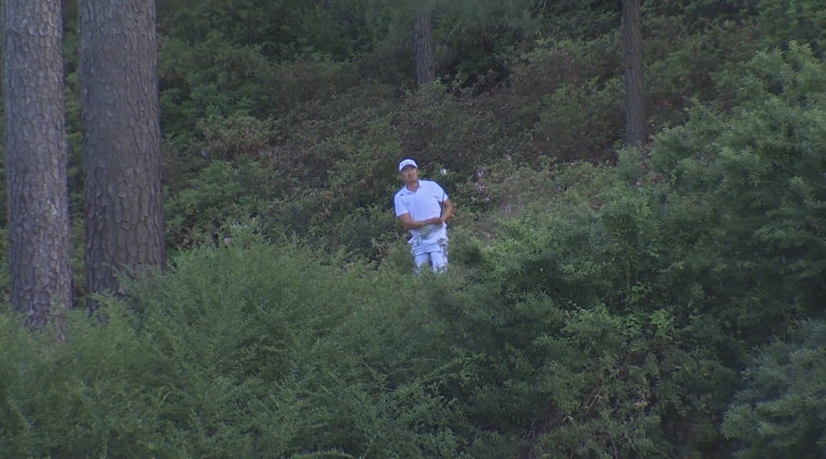 Smylie Kaufman tweet media