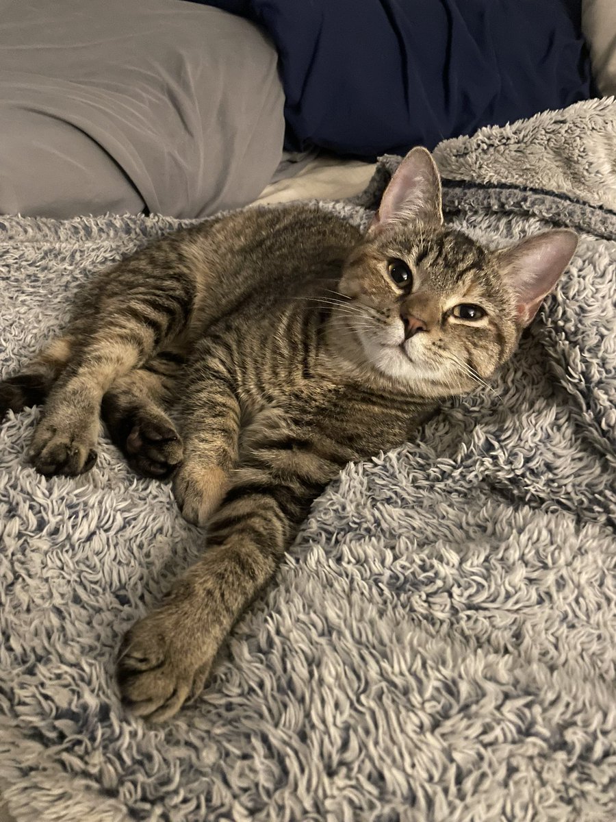 Bryan Ruby 🔜 INDY tweet media