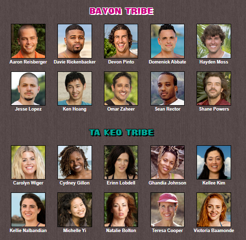 Survivordle.com tweet media