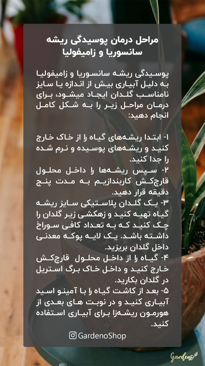 گلخانه گاردنو tweet media