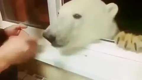 Mikhail Dyachenko tweet media