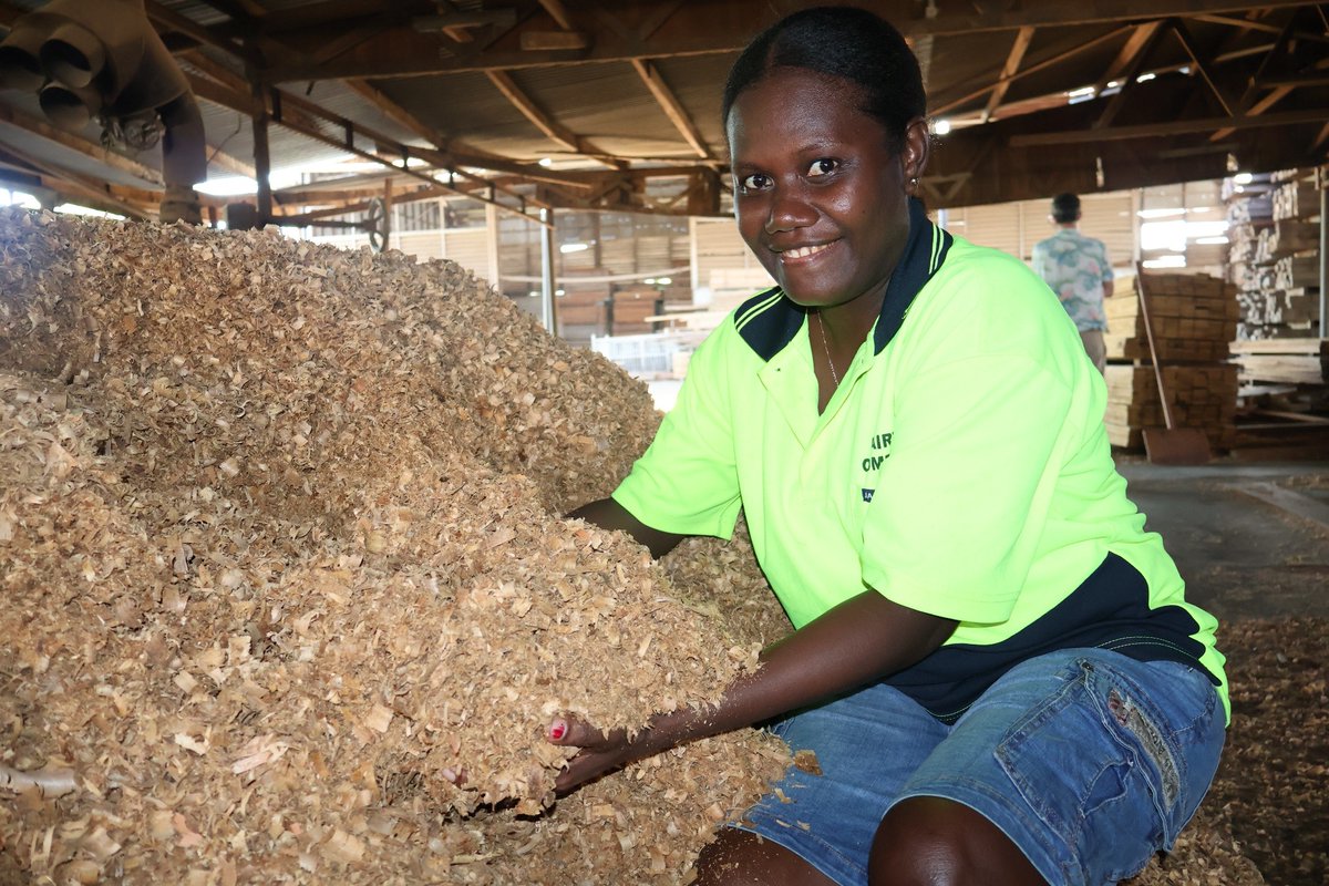 #PHAMAPlus supported Solomon Islands timber exporters meet Australian and NZ legality standards through better traceability and certified supply chains, protecting rural livelihoods.

Read more: phamaplus.com.au/wp-content/upl…

#Timber #SITPEA #DTGlobal #ExportDevelopment