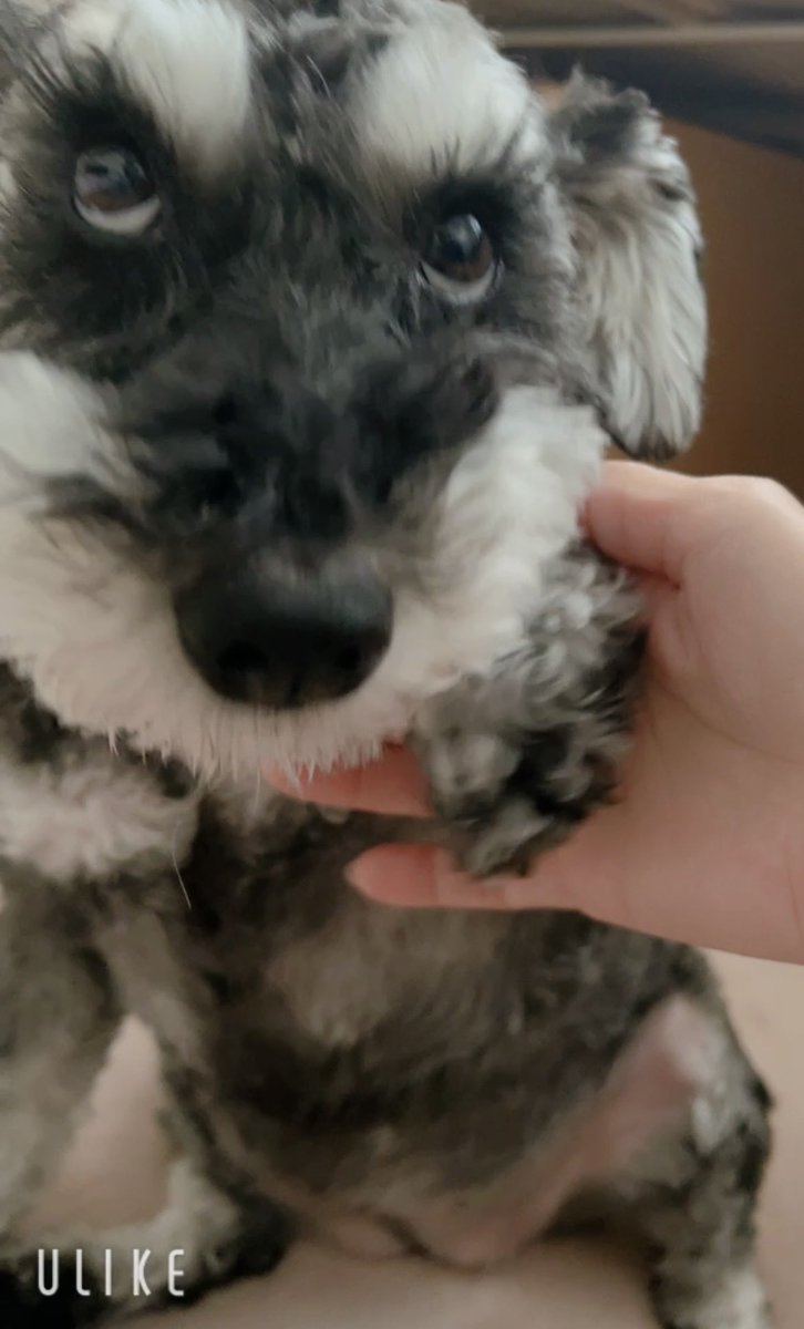 しゅなとコロン tweet media