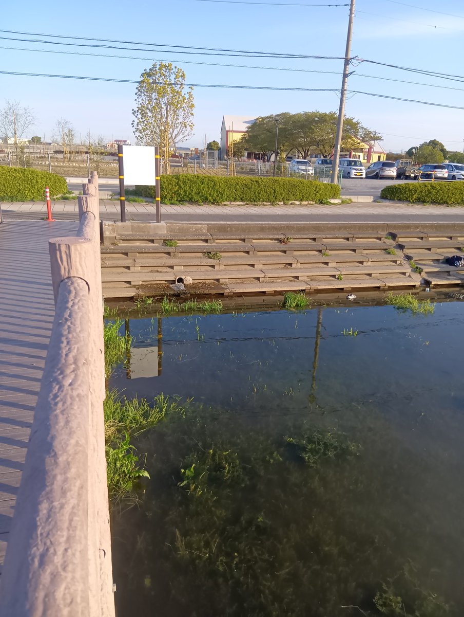 m@co★新鮮組 tweet media