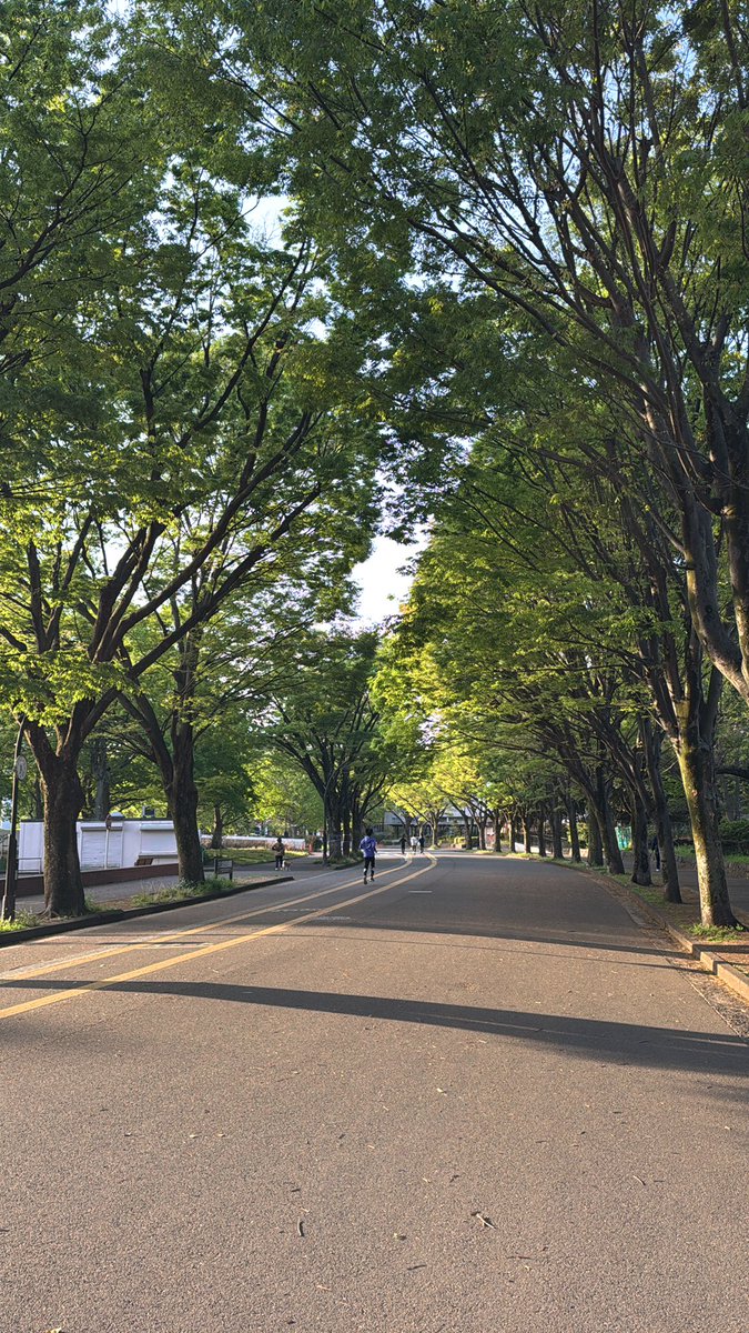 岡田 真治 tweet media