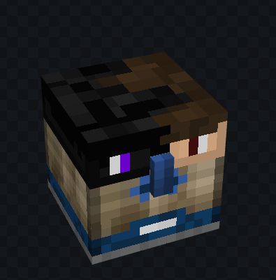 IceFighter tweet media