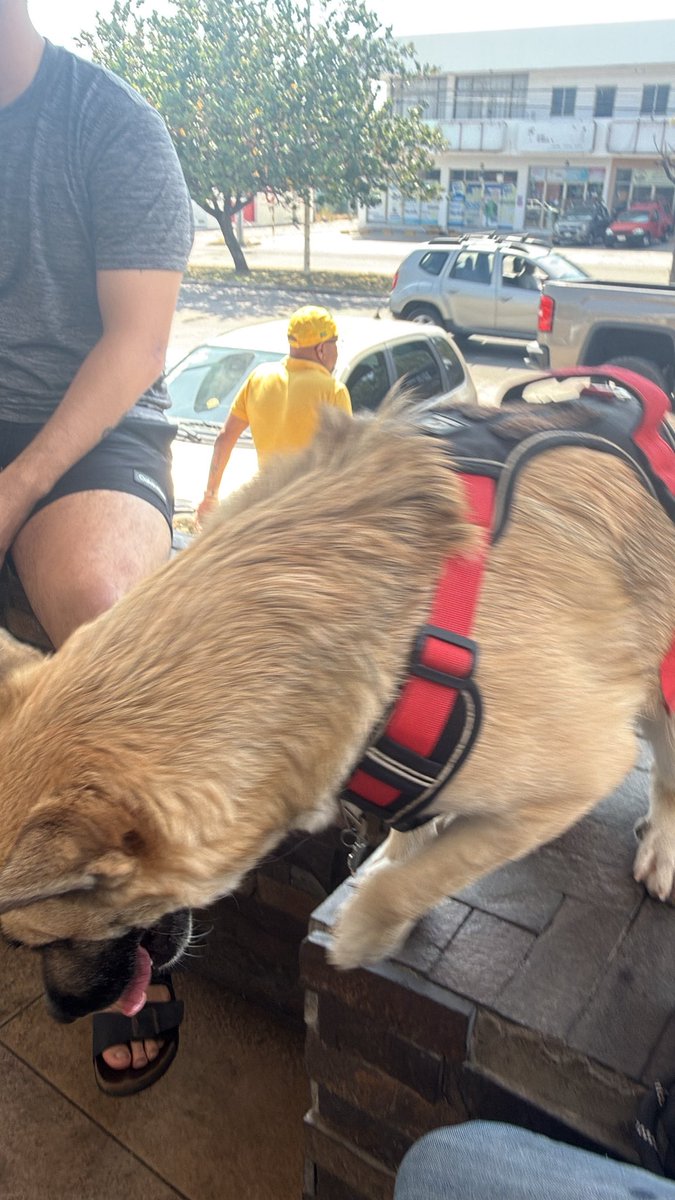 fucklett tweet media