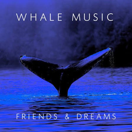 Gio 🪩 tweet media