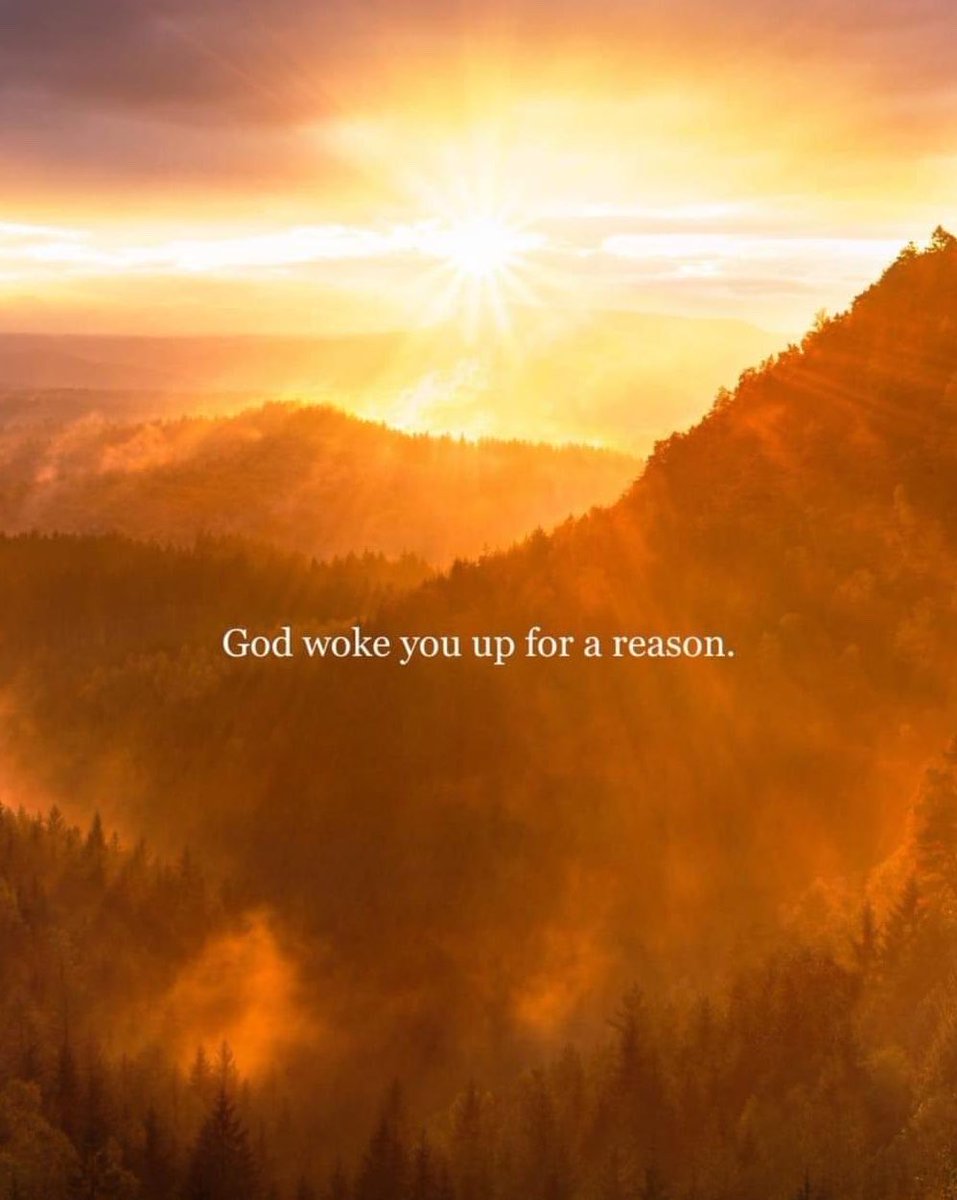 Cordicon tweet media