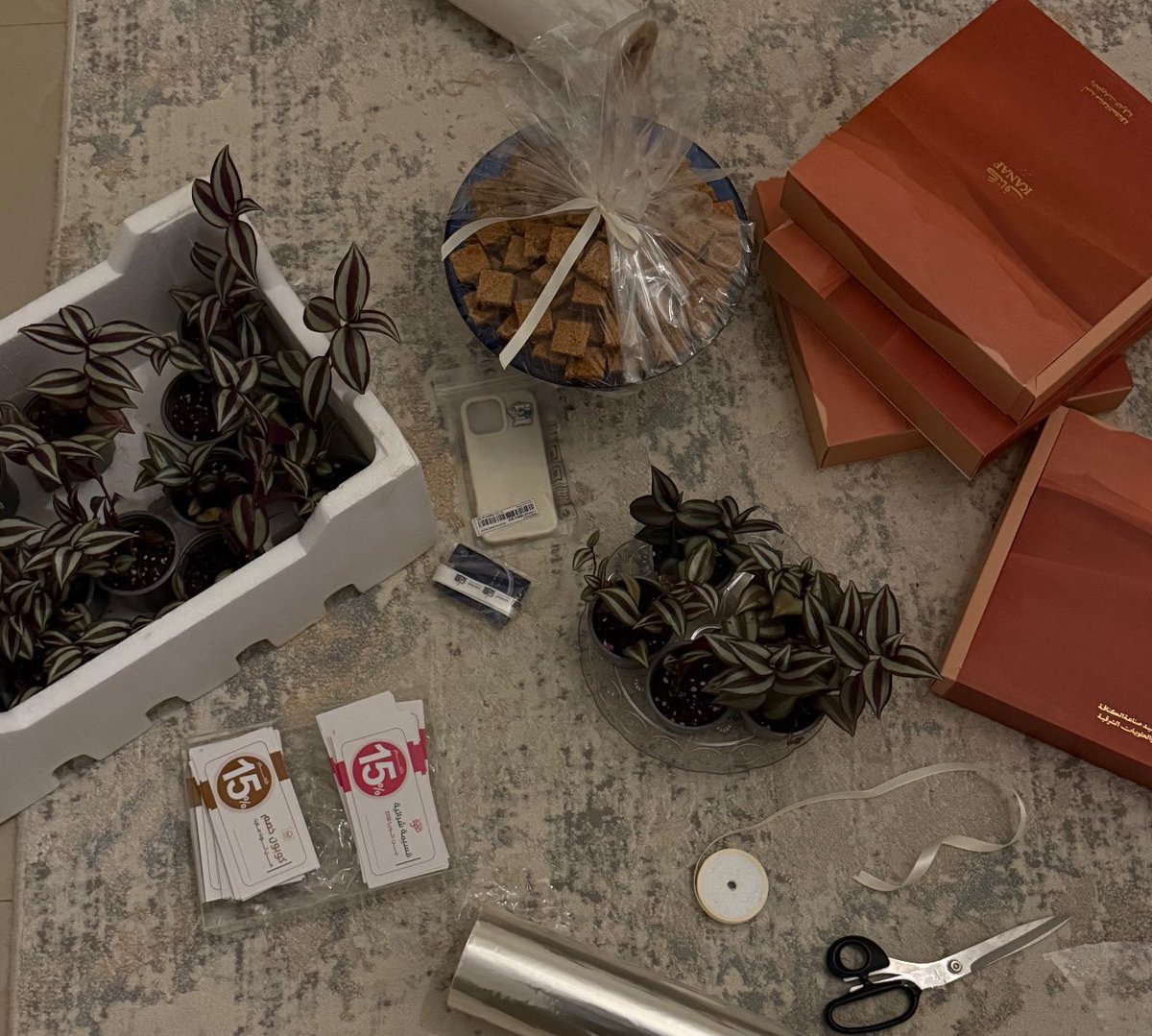 ACC | Elaf tweet media