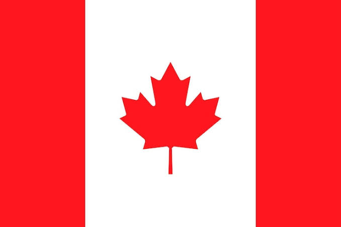 Dr. Rita Ded 🏳️‍🌈🇻🇪🇮🇱🇺🇦🇵🇸 tweet media