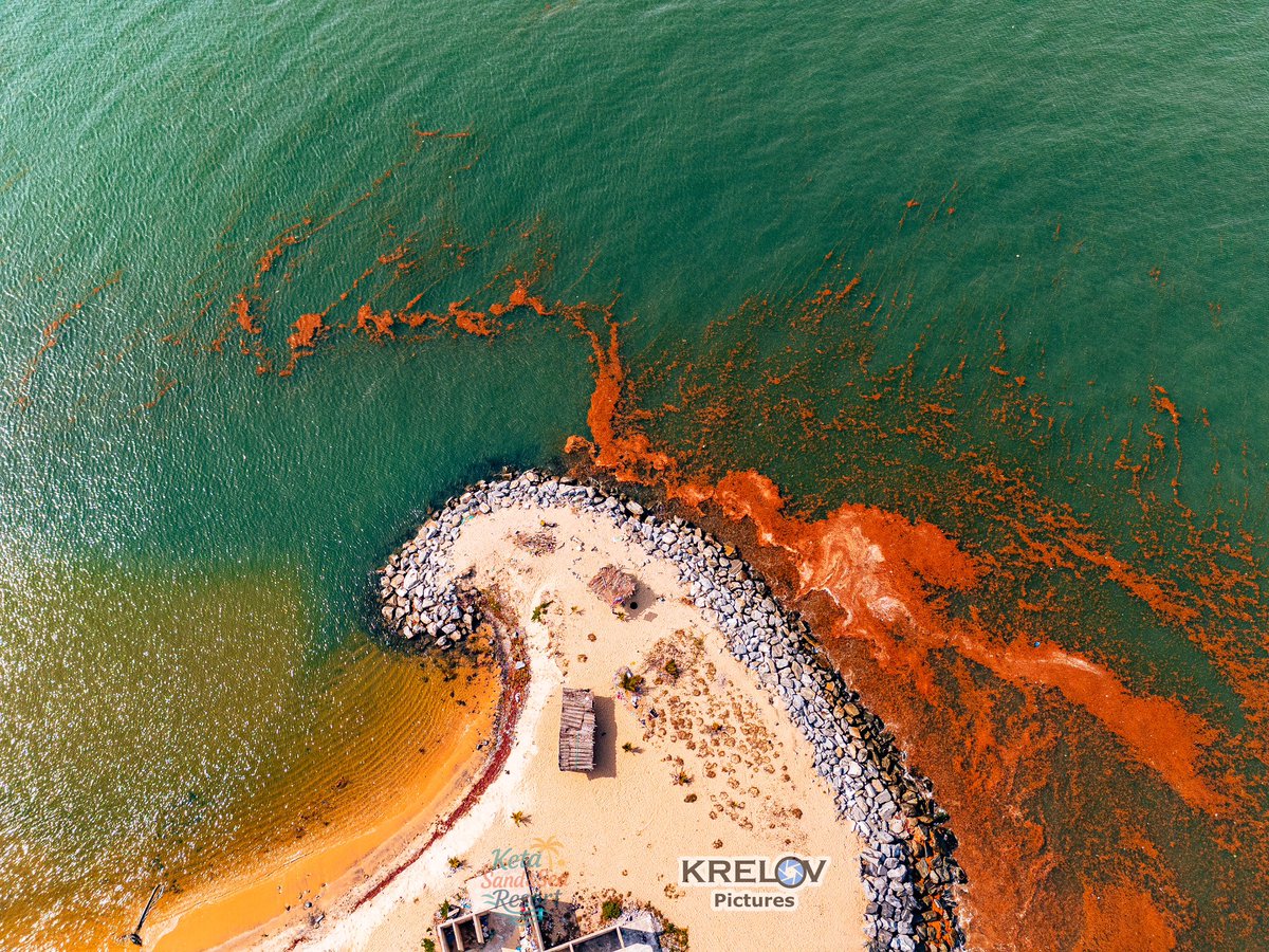 Krelov Franklin tweet media