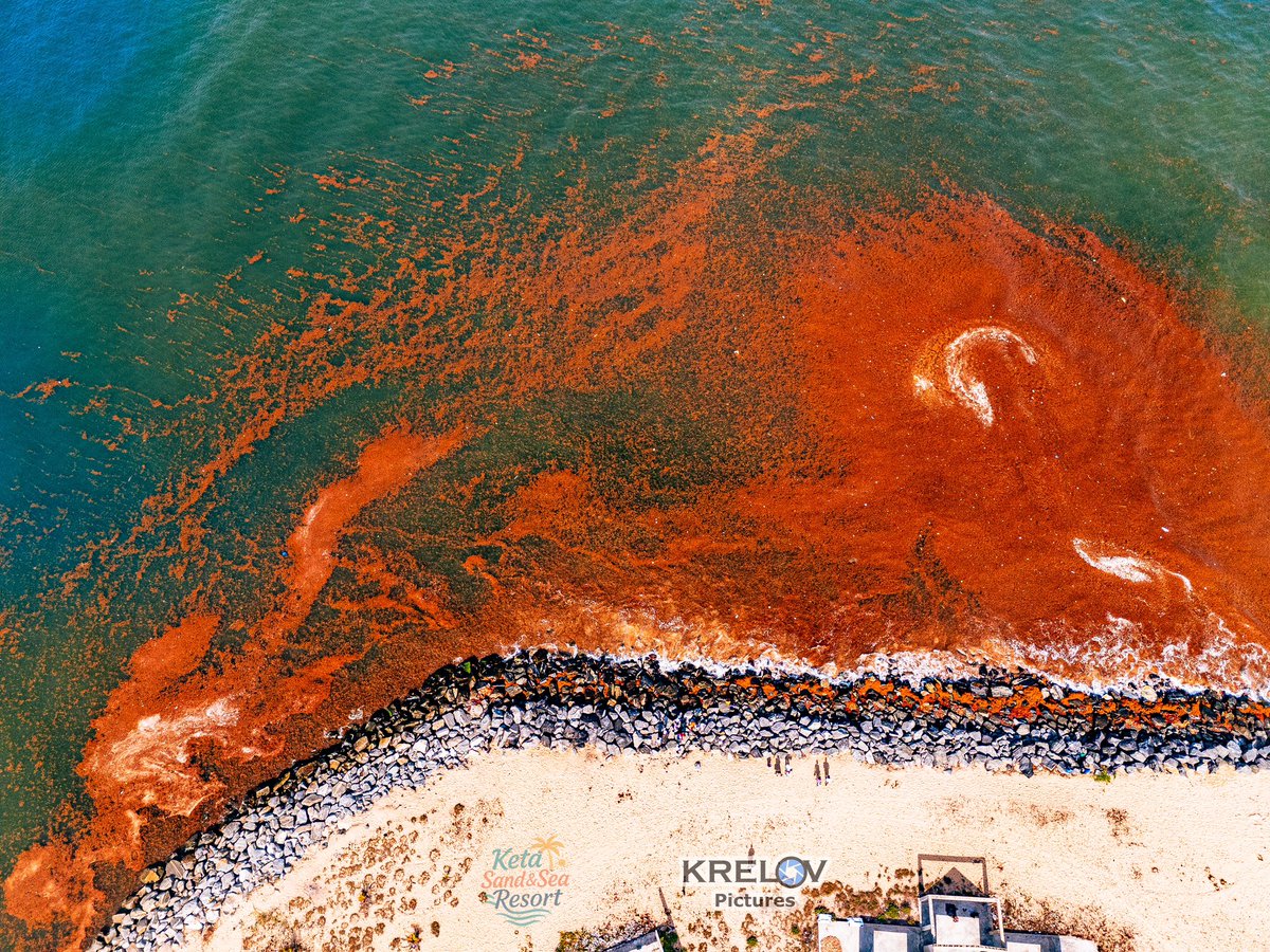 Krelov Franklin tweet media