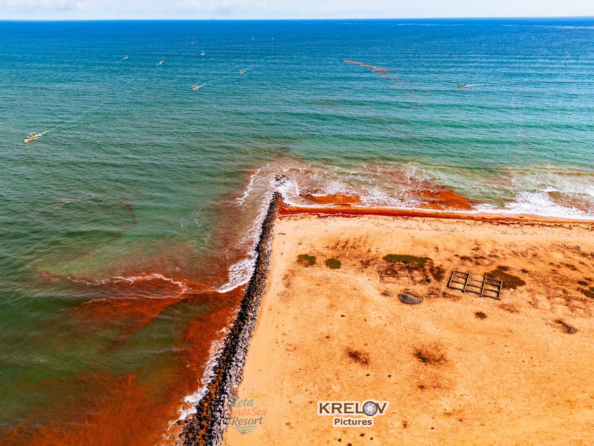 Krelov Franklin tweet media