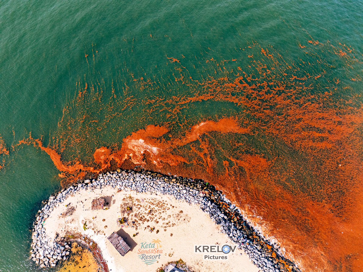 Krelov Franklin tweet media