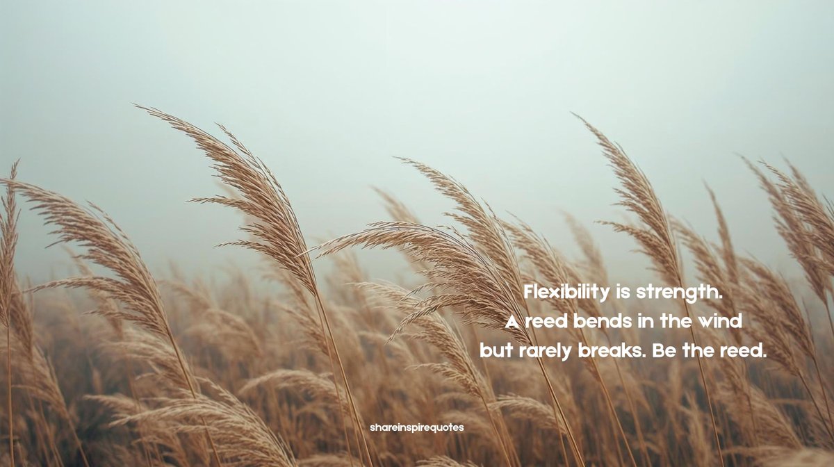 QuotesShare's tweet image. Flexibility is strength. A reed bends in the wind but rarely breaks. Be the reed. 

#Flexibility #Resilience #Adaptability #InnerStrength #Mindfulness #BendDontBreak #Wisdom #Quotes #ShareInspireQuotes