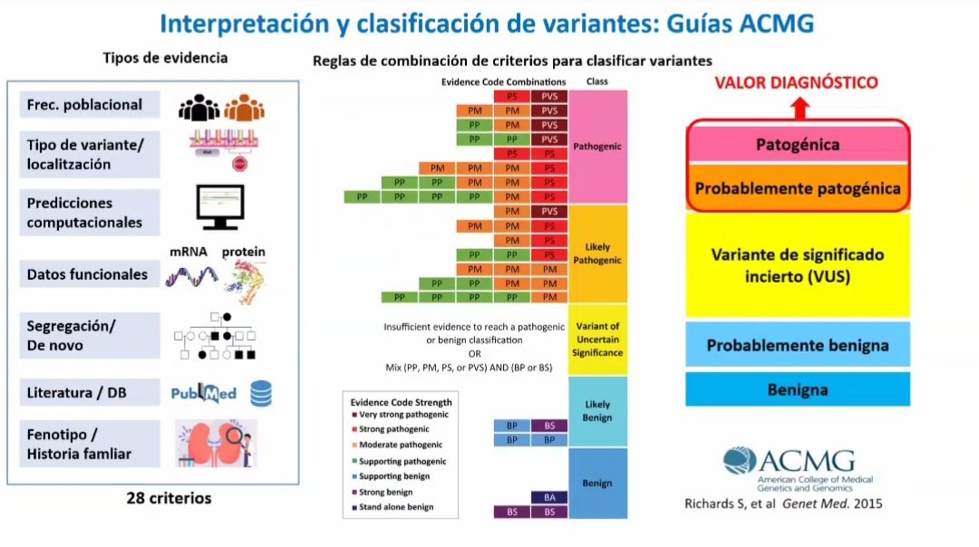 LilianCVillalba's tweet image. #Webinar #Genética #EnfermedadRenal Solo las variantes patogénicas o probablemente patogénicas tienen 𝘃𝗮𝗹𝗼𝗿 𝗱𝗶𝗮𝗴𝗻ó𝘀𝘁𝗶𝗰𝗼. Dra Elisabet Ars