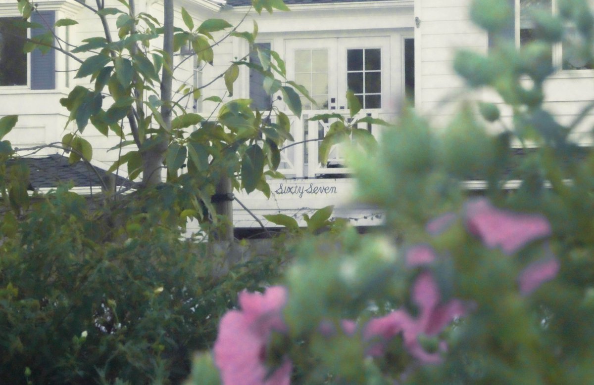 Yandere Eito Aotsuki (´• ω •`) ♡ tweet media