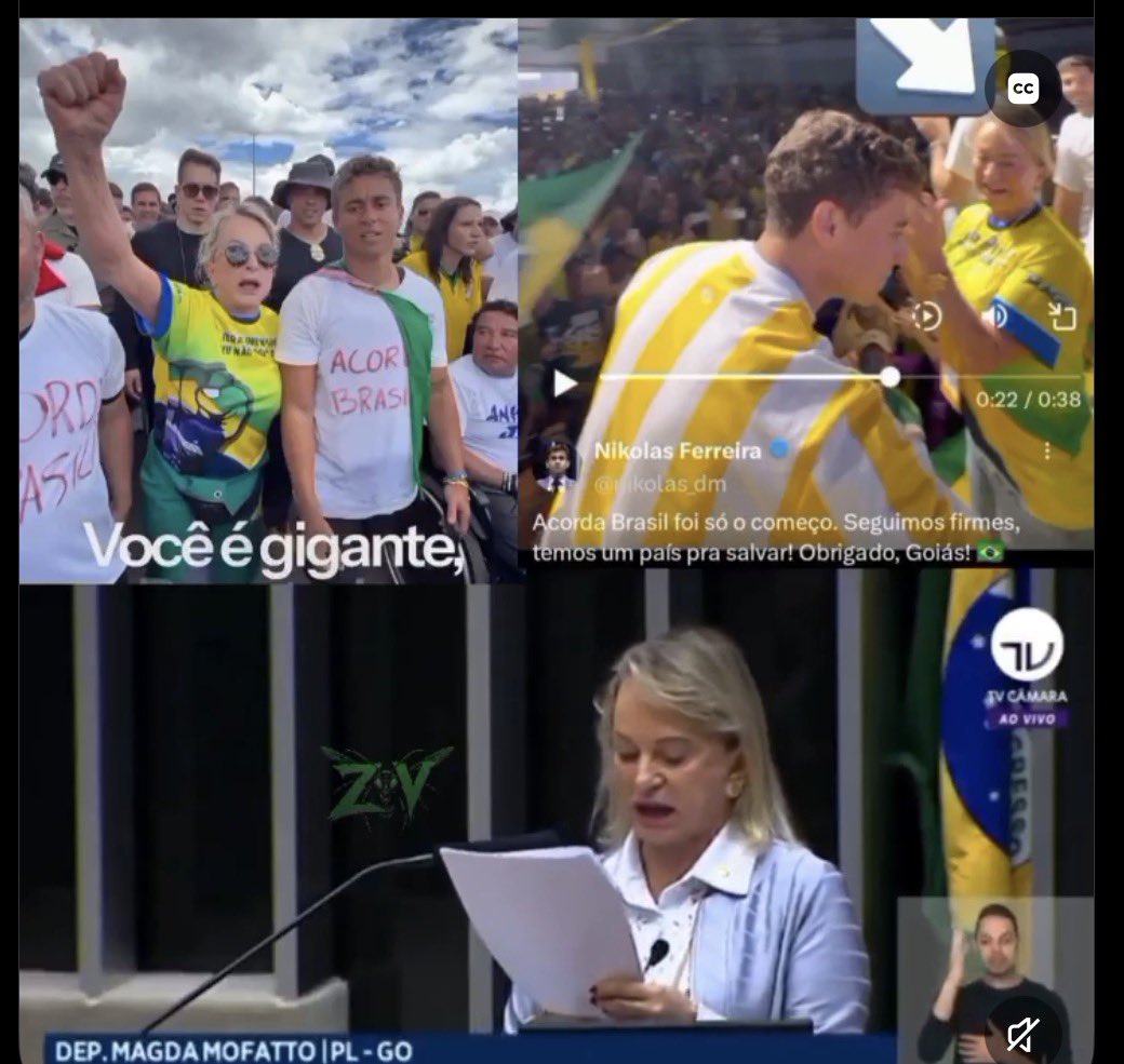 🇺🇸HELP BRAZIL- 🆘 🇧🇷 tweet media