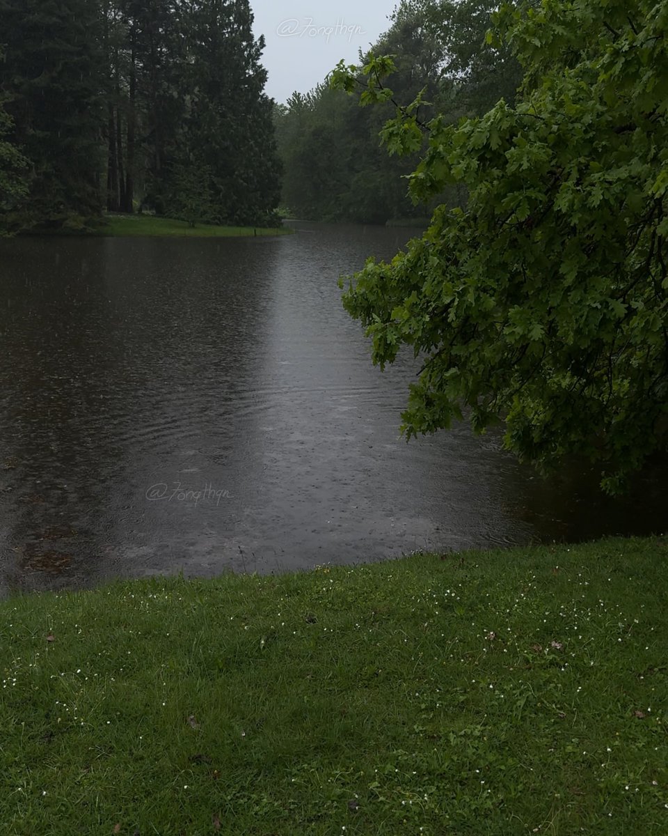 Purely Green tweet media