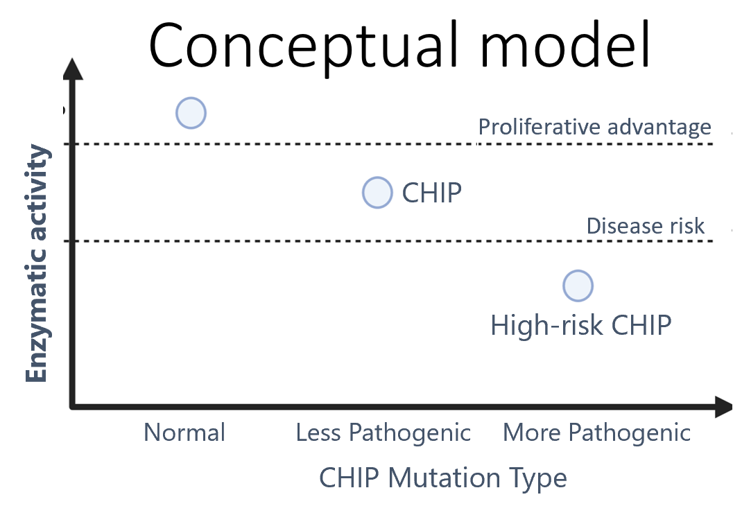 AlexBickMDPhD's tweet photo. Exciting new work led by @yash_pershad &amp; @drkunzhao! We find that only a subset of TET2 and DNMT3A CHIP, which are most disruptive to enzyme activity, actually cause disease. We can quantify enzyme activity by profiling peripheral blood DNA methylation. https://t.co/O66UQvOKSY