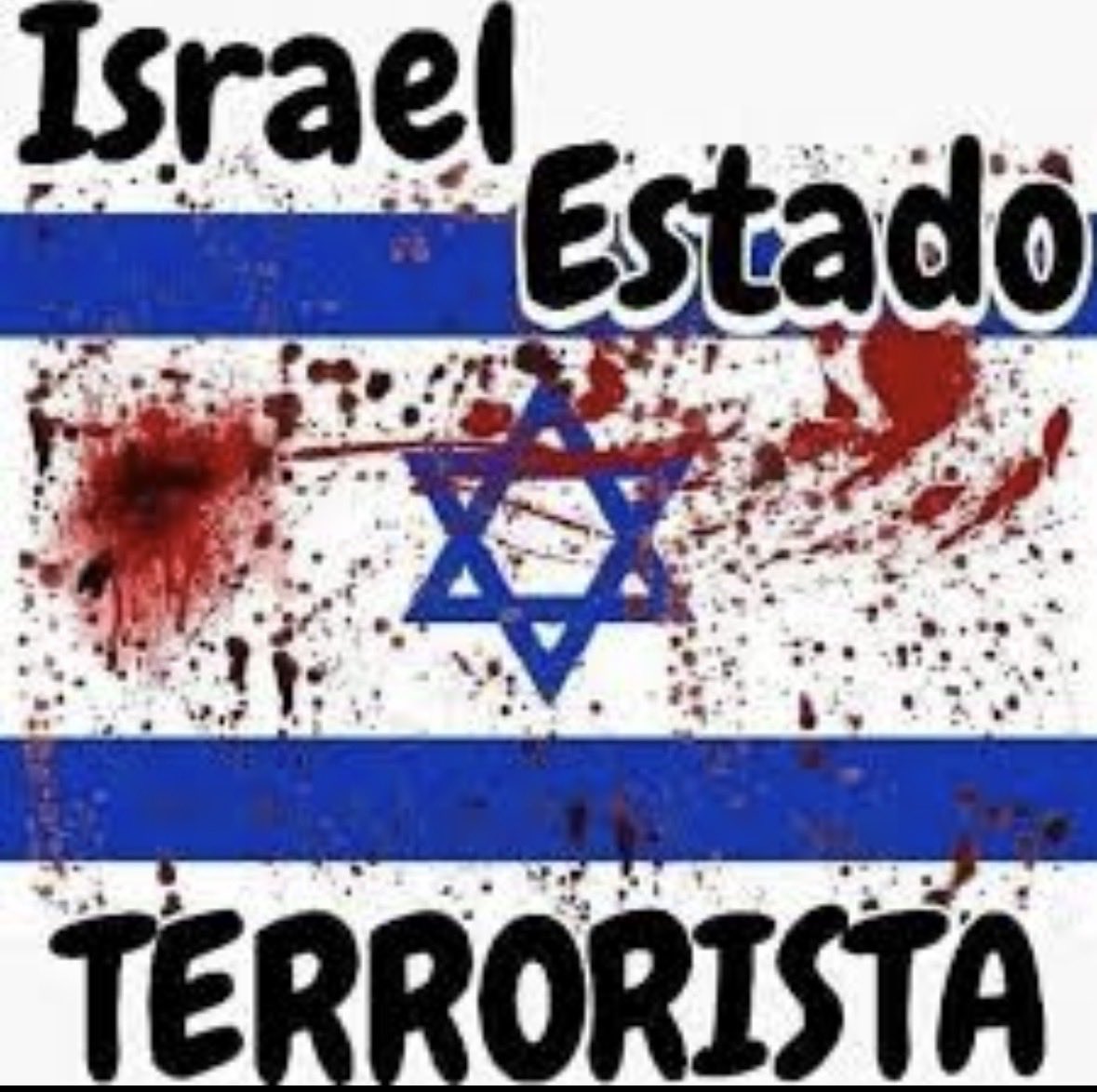 MCMD 🌹♥️🌈🐙🤏🏾🌎🇵🇸 tweet media