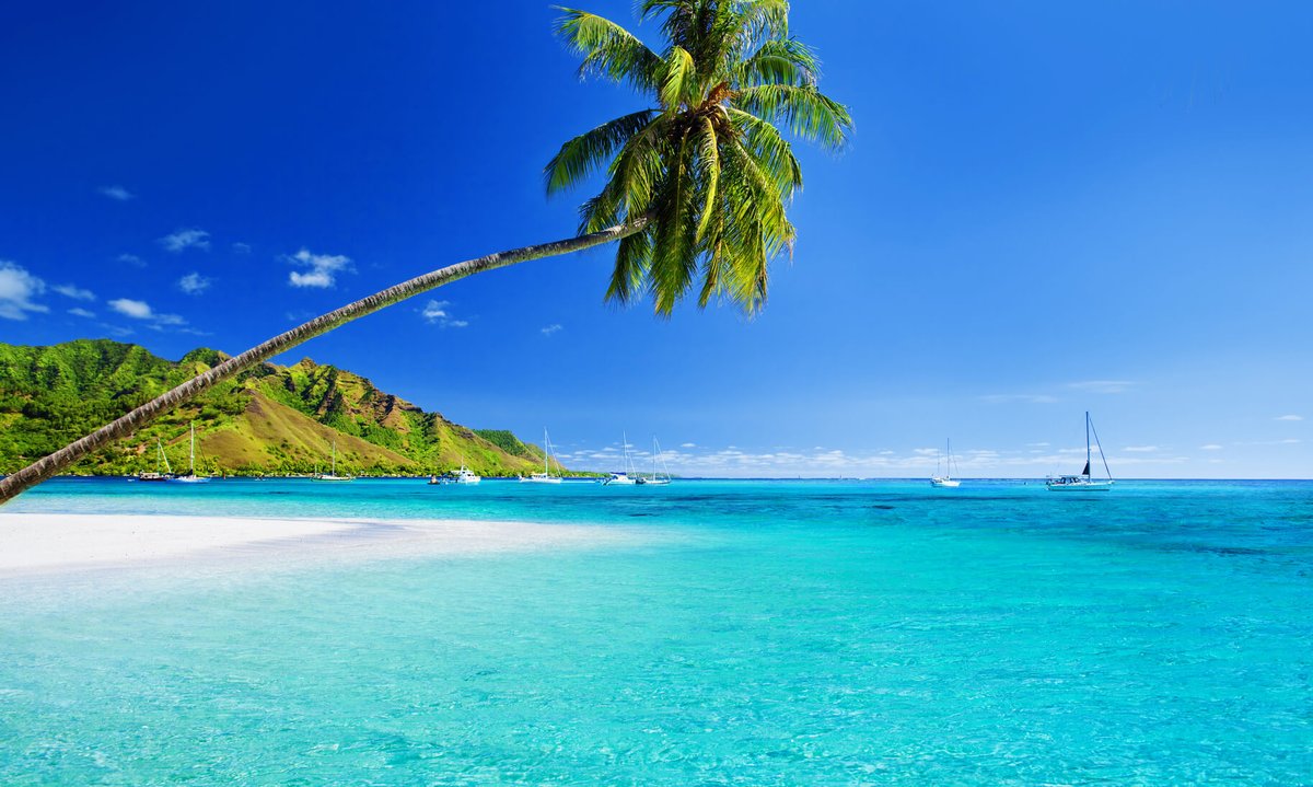 SecretFlying's tweet image. #Denver, Colorado to #Kahului, Hawaii (&amp;amp; vice versa) for only $363 roundtrip with Alaska Airlines #Travel

secretflying.com/posts/denver-c…