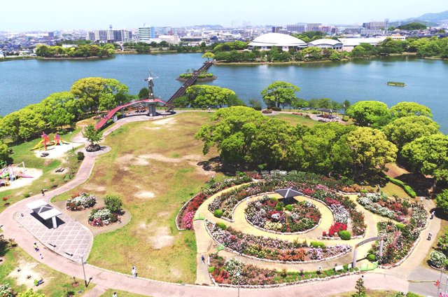 福岡のニュース tweet media