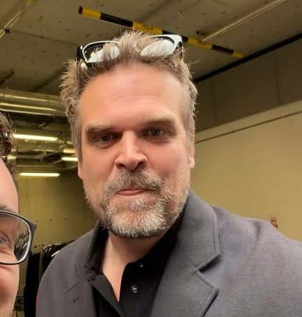 DavidHarbour.home tweet media
