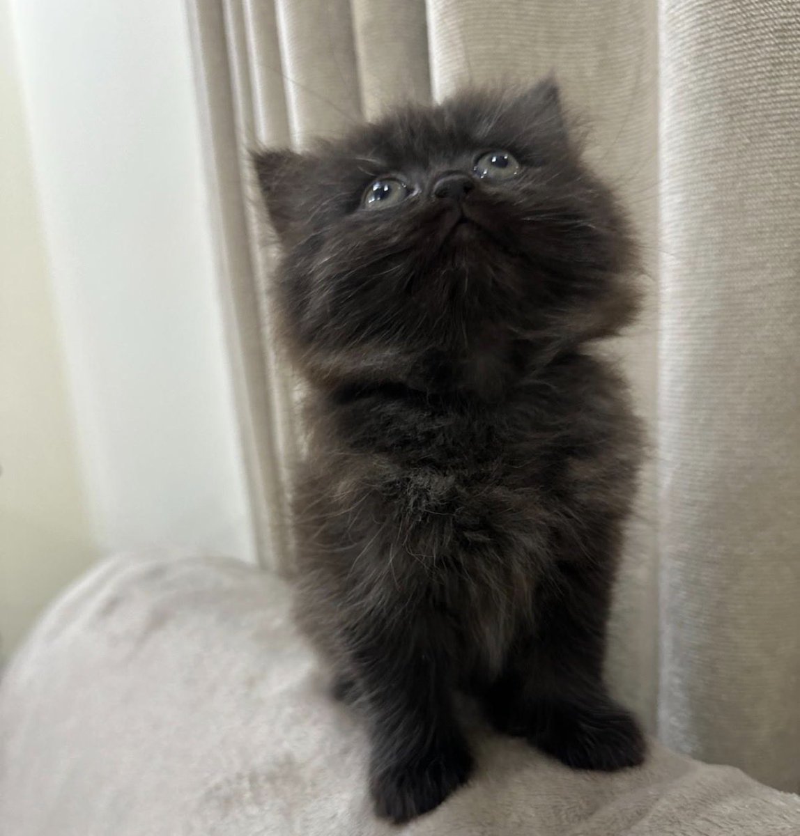 thenuuur's tweet photo. @browserpplub 😍🖤🤍 https://t.co/NQNLN8UF7l