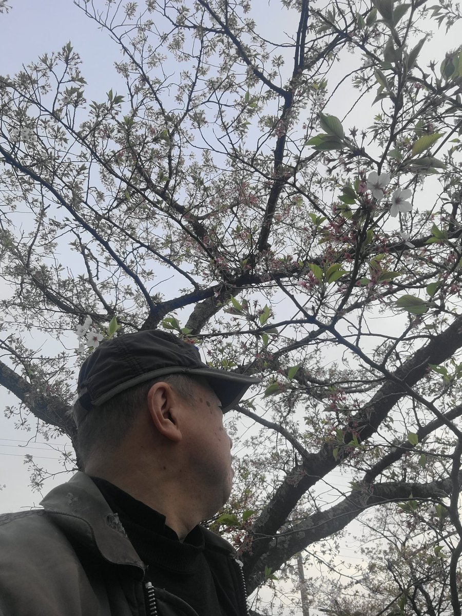 いもわらい tweet media