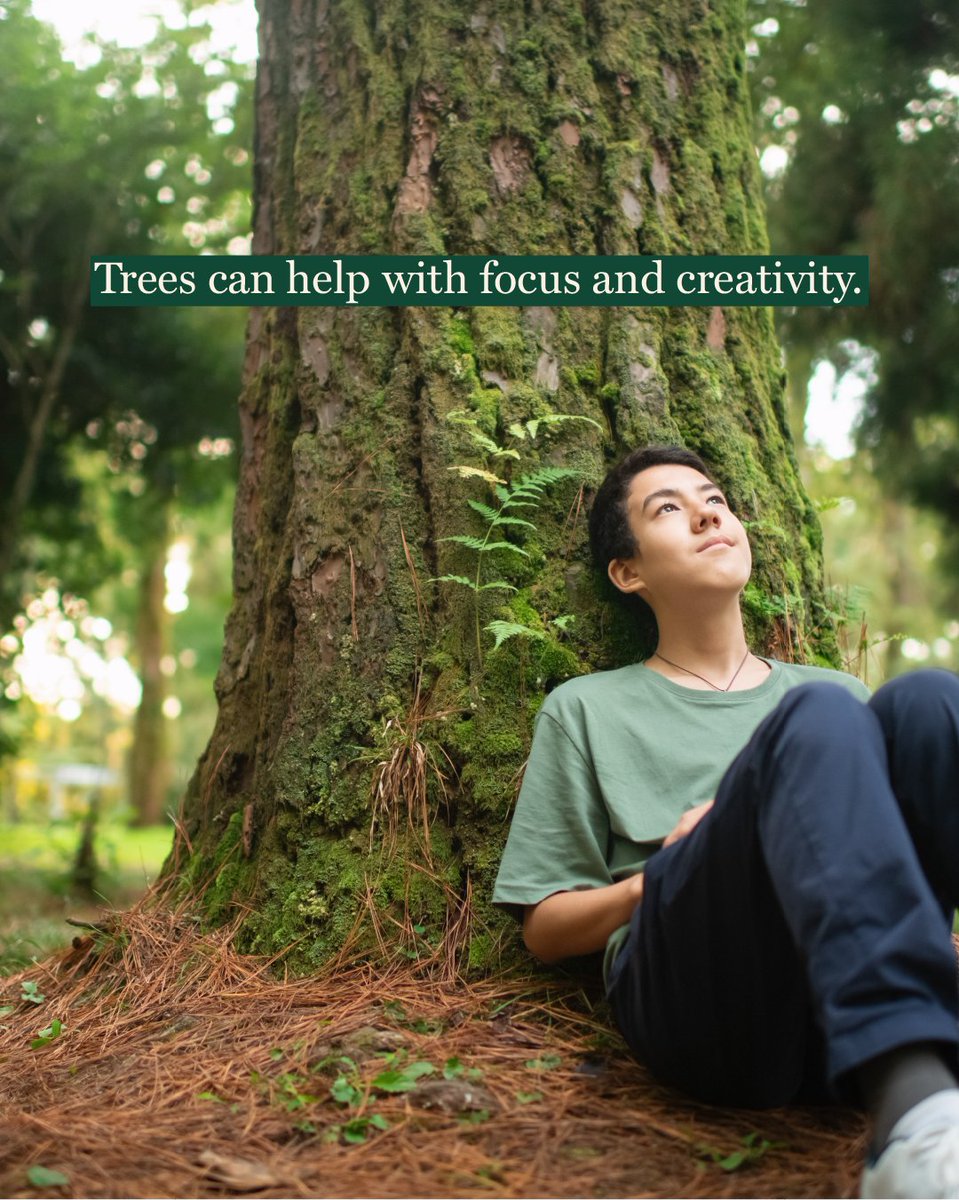 Arbor Day Foundation tweet media