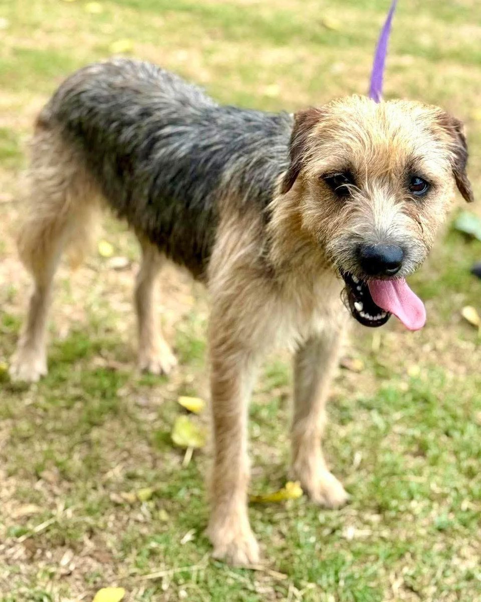 El Campito Refugio tweet media