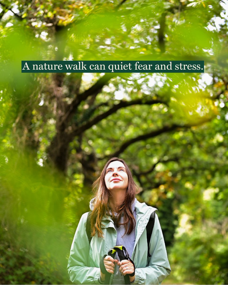 Arbor Day Foundation tweet media