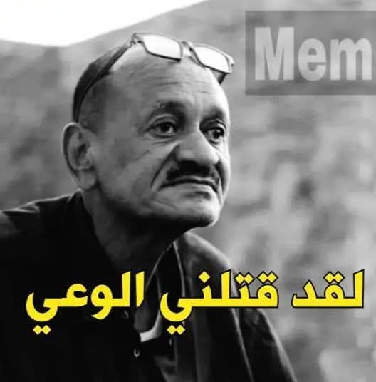 brainrottenlezly tweet media