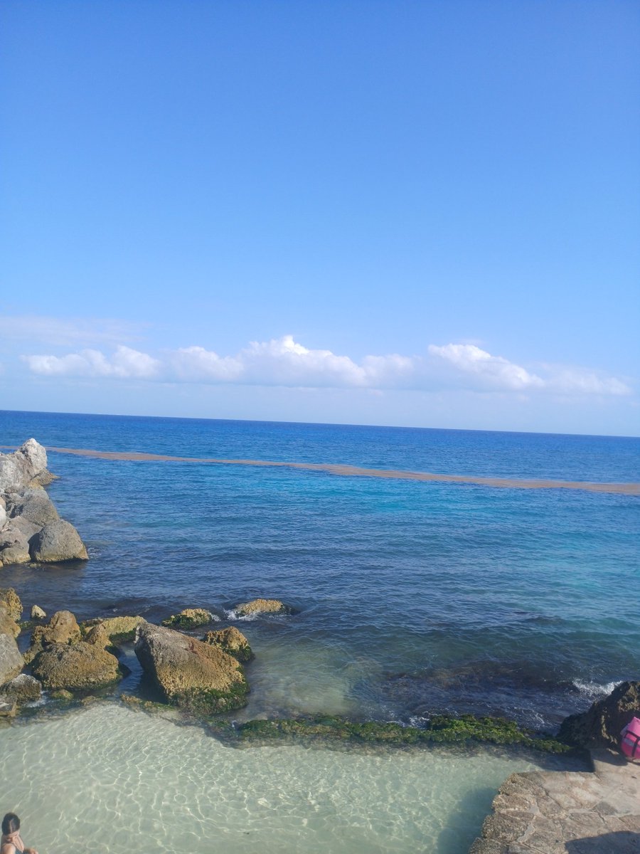 Mon🐉🖤 tweet media