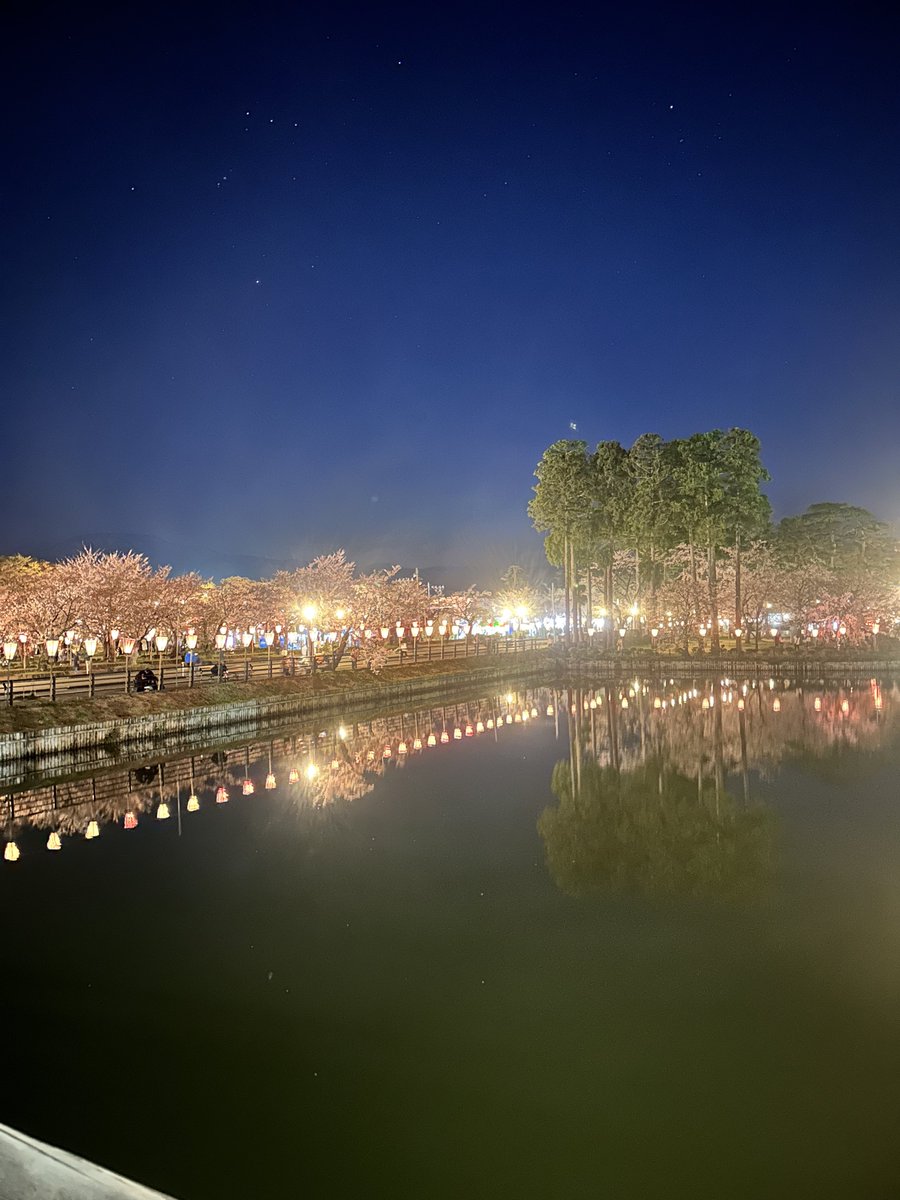 ただのコック帽(鈴木翔) tweet media