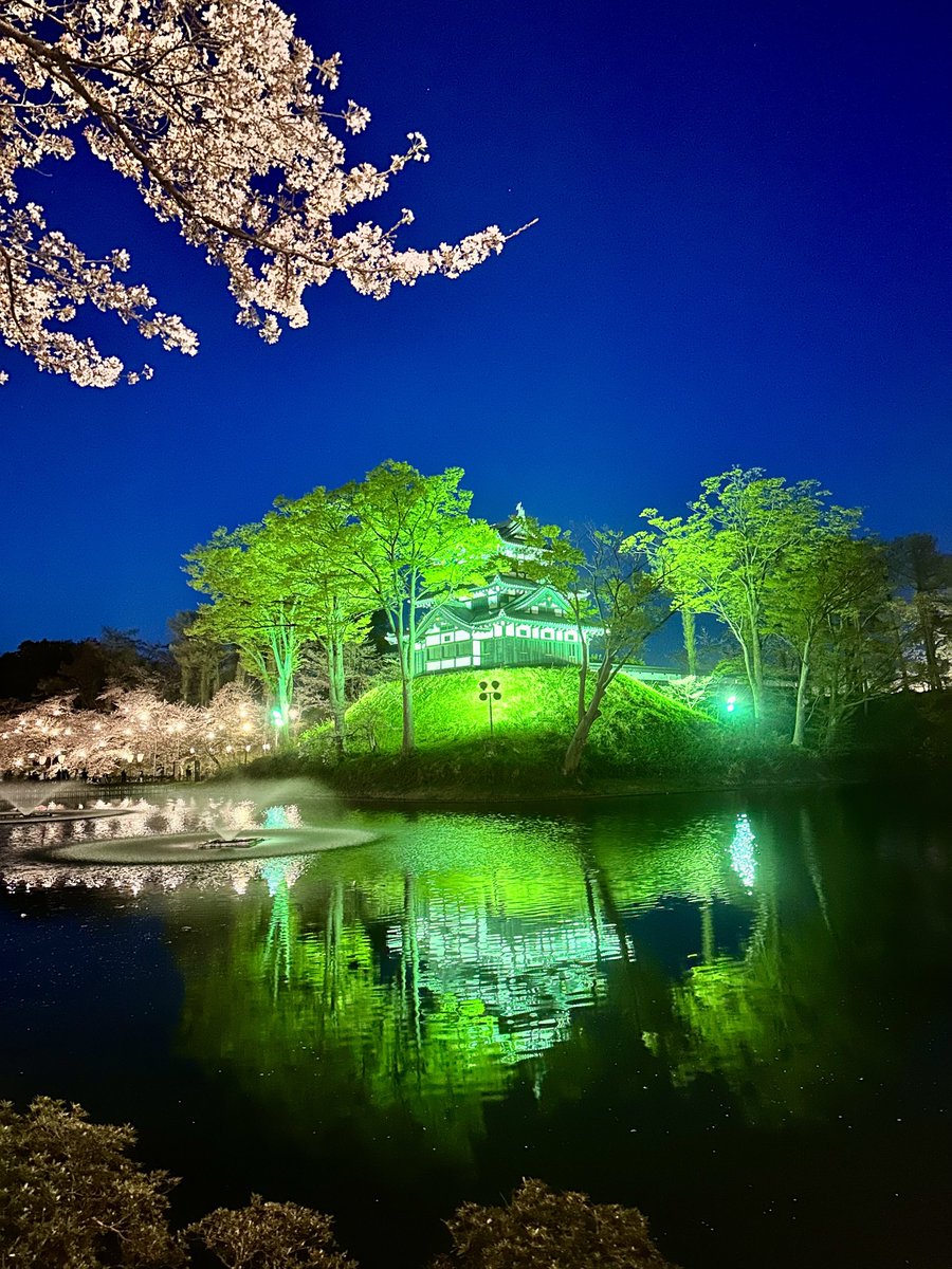 ただのコック帽(鈴木翔) tweet media