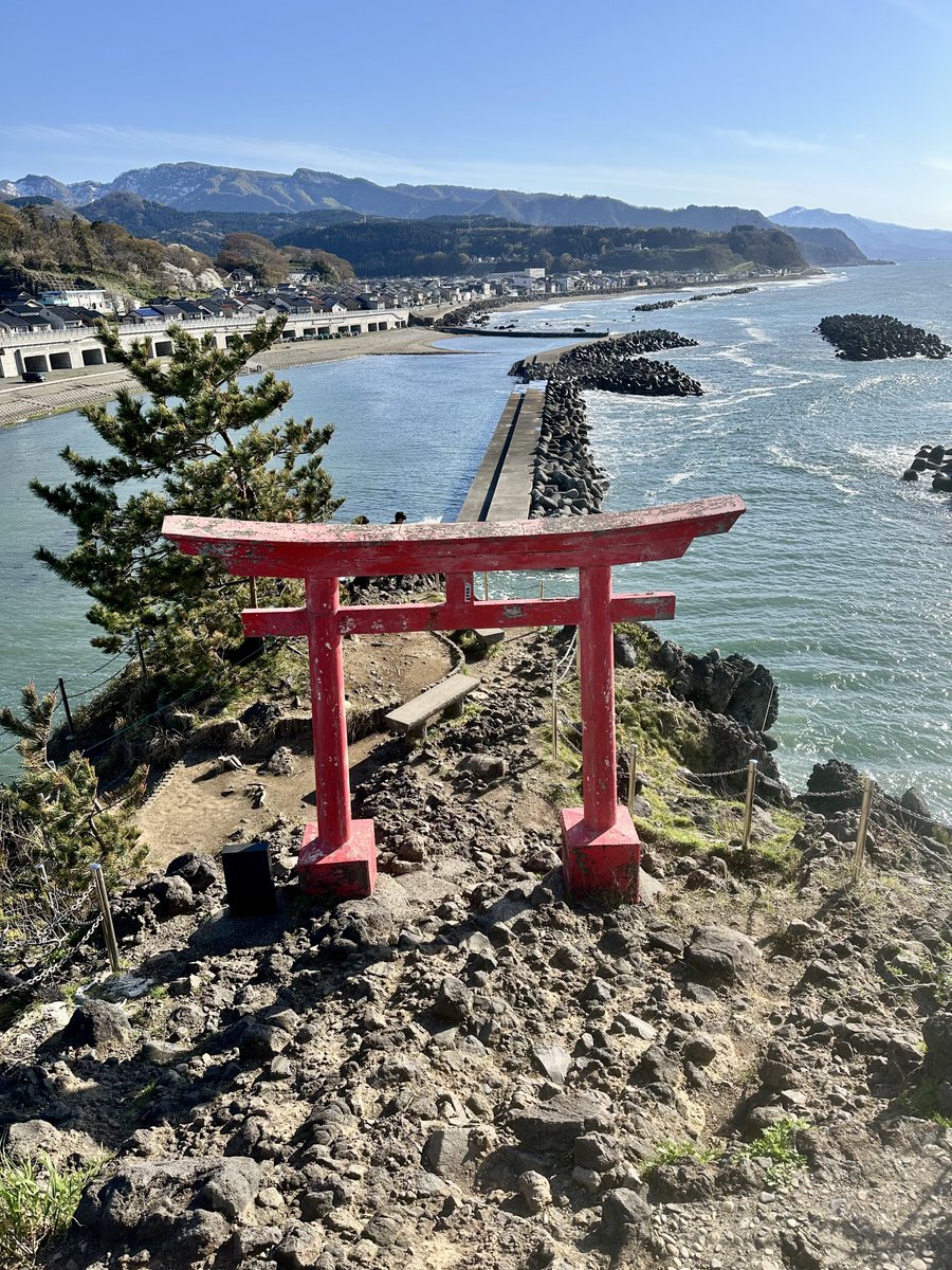 ただのコック帽(鈴木翔) tweet media