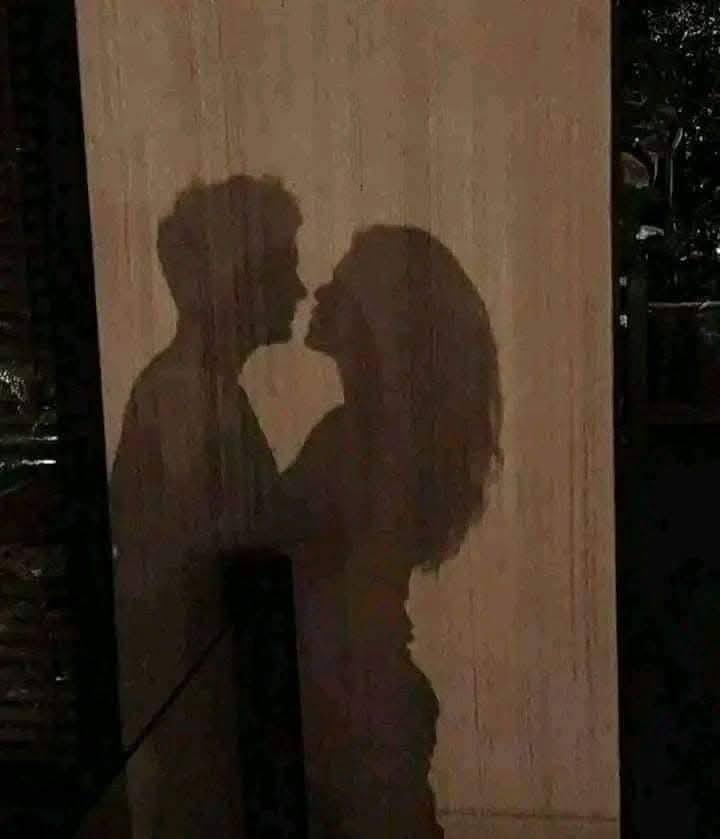 متنوع🙋 tweet media