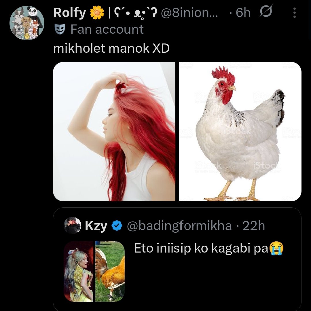 Rolfy 🌼 | ʕ⁠´⁠•⁠ ⁠ᴥ⁠•̥⁠`⁠ʔ tweet media