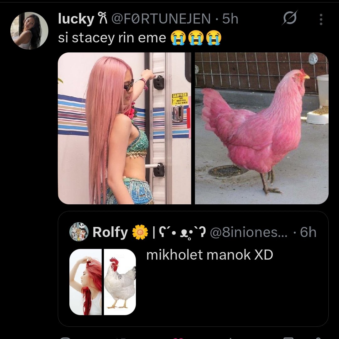 Rolfy 🌼 | ʕ⁠´⁠•⁠ ⁠ᴥ⁠•̥⁠`⁠ʔ tweet media