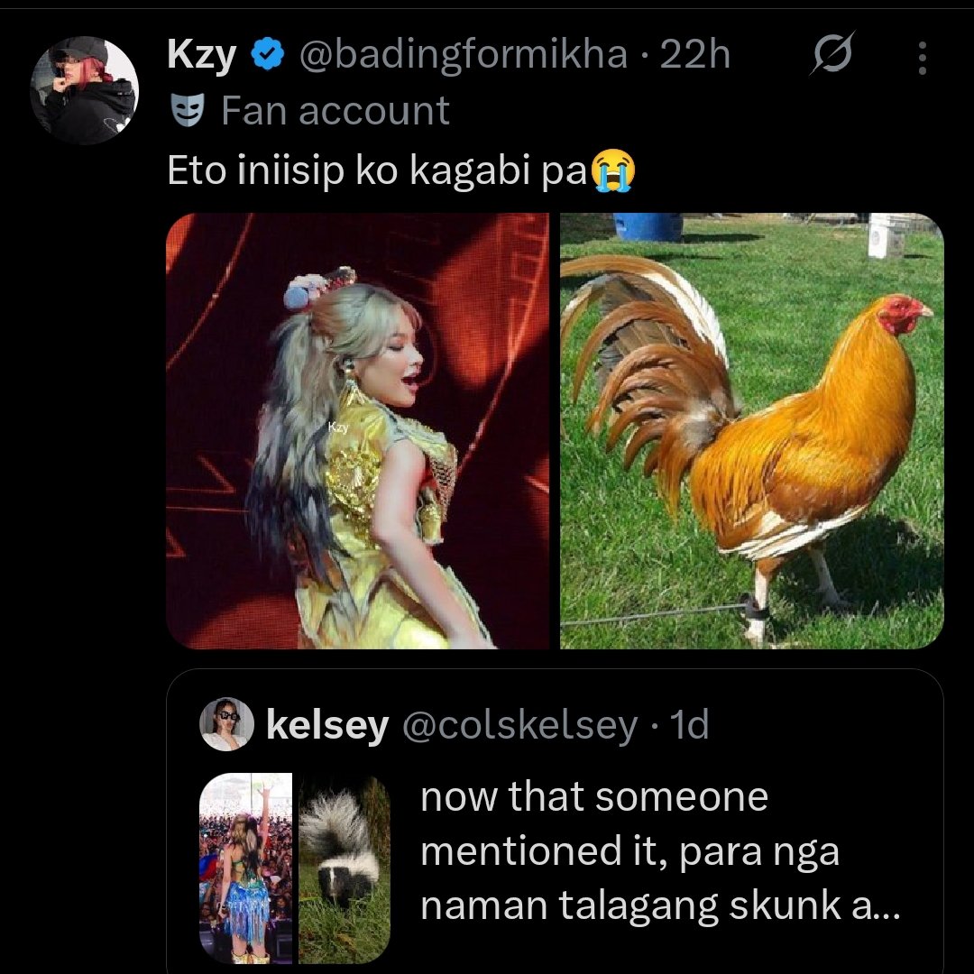 Rolfy 🌼 | ʕ⁠´⁠•⁠ ⁠ᴥ⁠•̥⁠`⁠ʔ tweet media