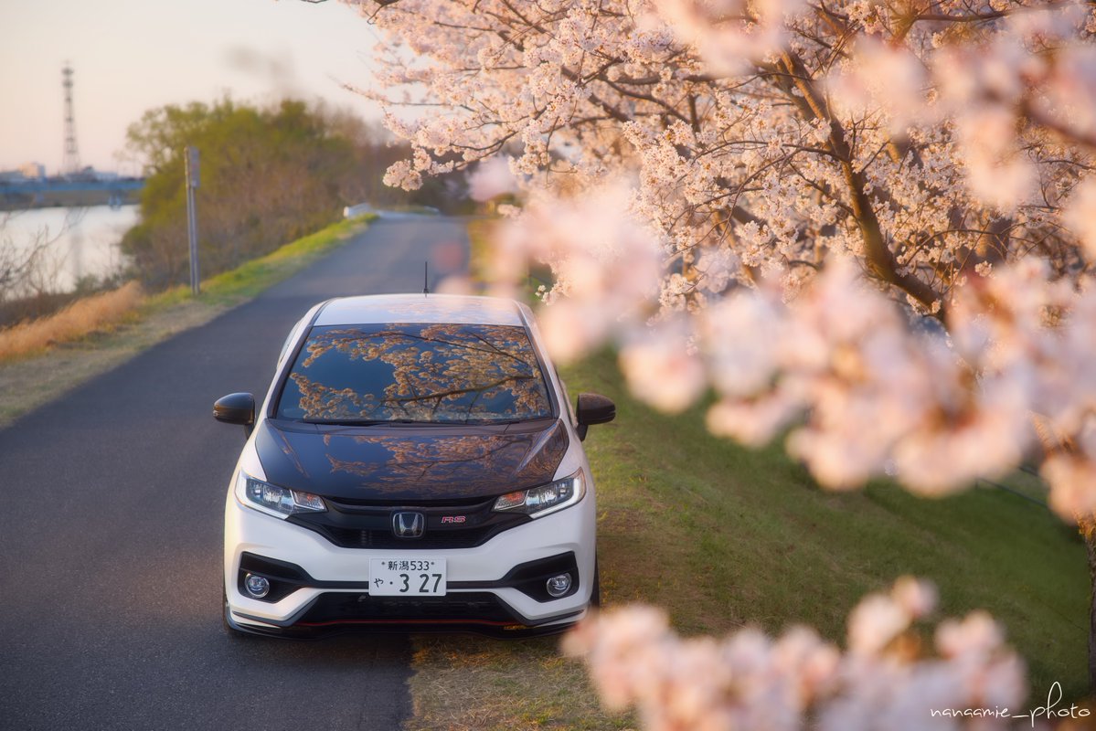 nanaamie_rill's tweet image. おはようございます🌸
#桜と愛車
#FIT #GK5