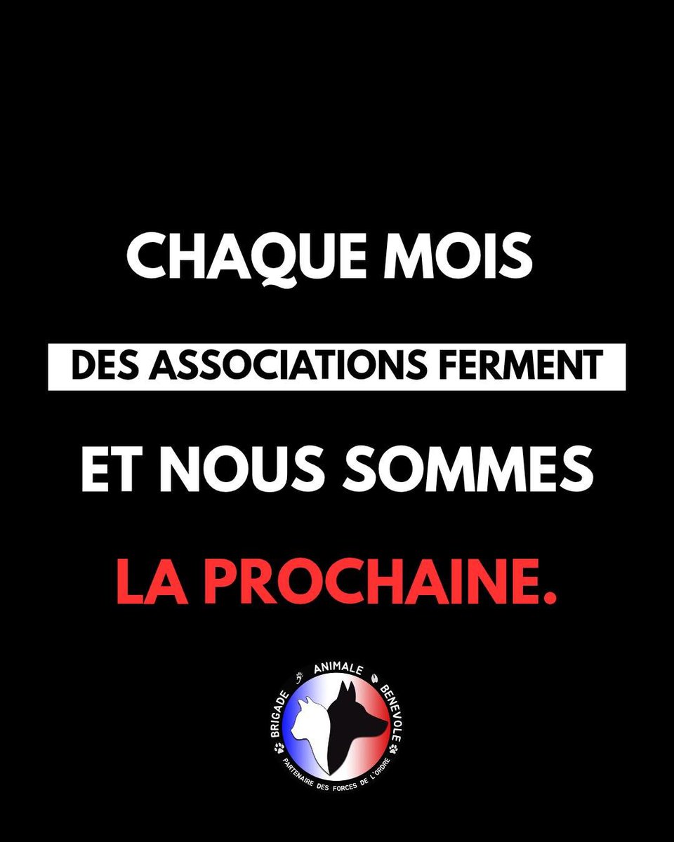 Brigade Animale Bénévole | BAB tweet media