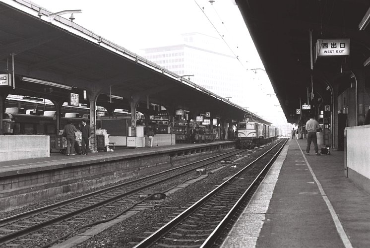 広島かき tweet media