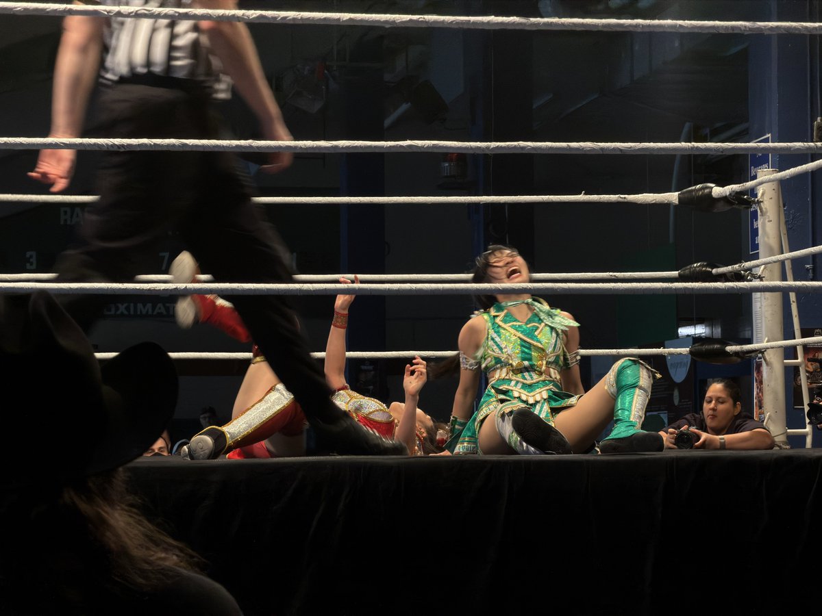 Max Phillips tweet media