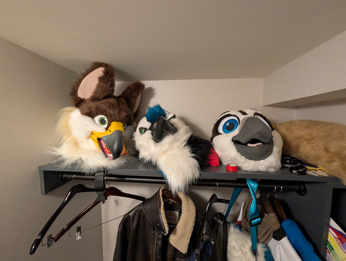 Casmir 🪶 tweet media