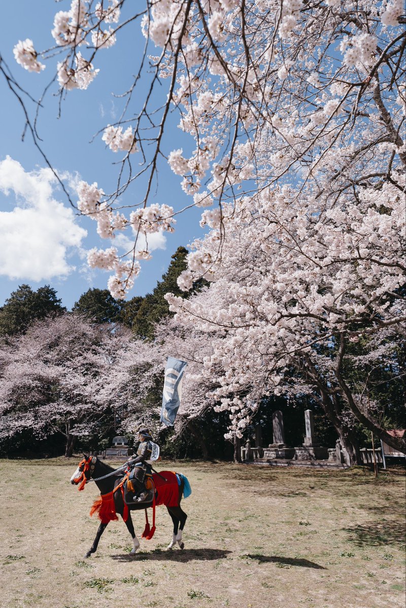 相馬野馬追執行委員会【公式】🐴 tweet media